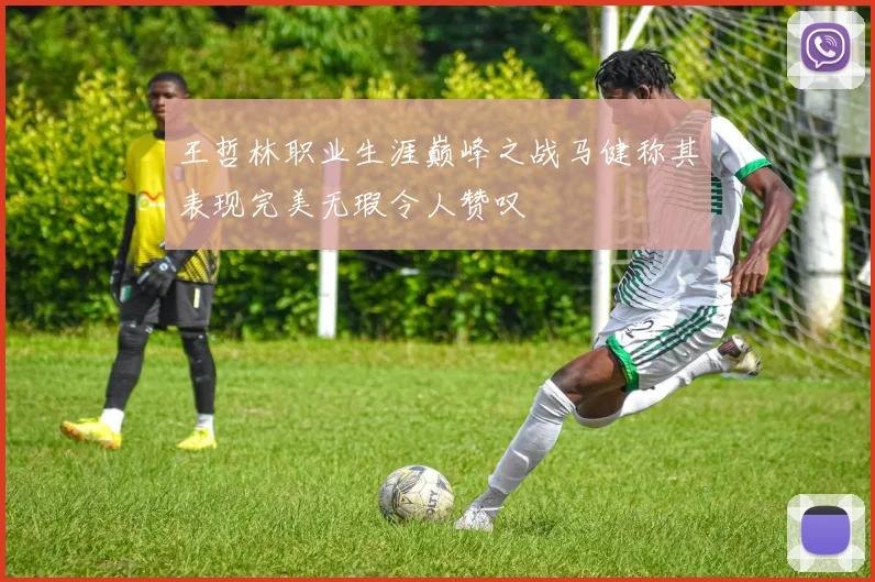 王哲林职业生涯巅峰之战马健称其表现完美无瑕令人赞叹